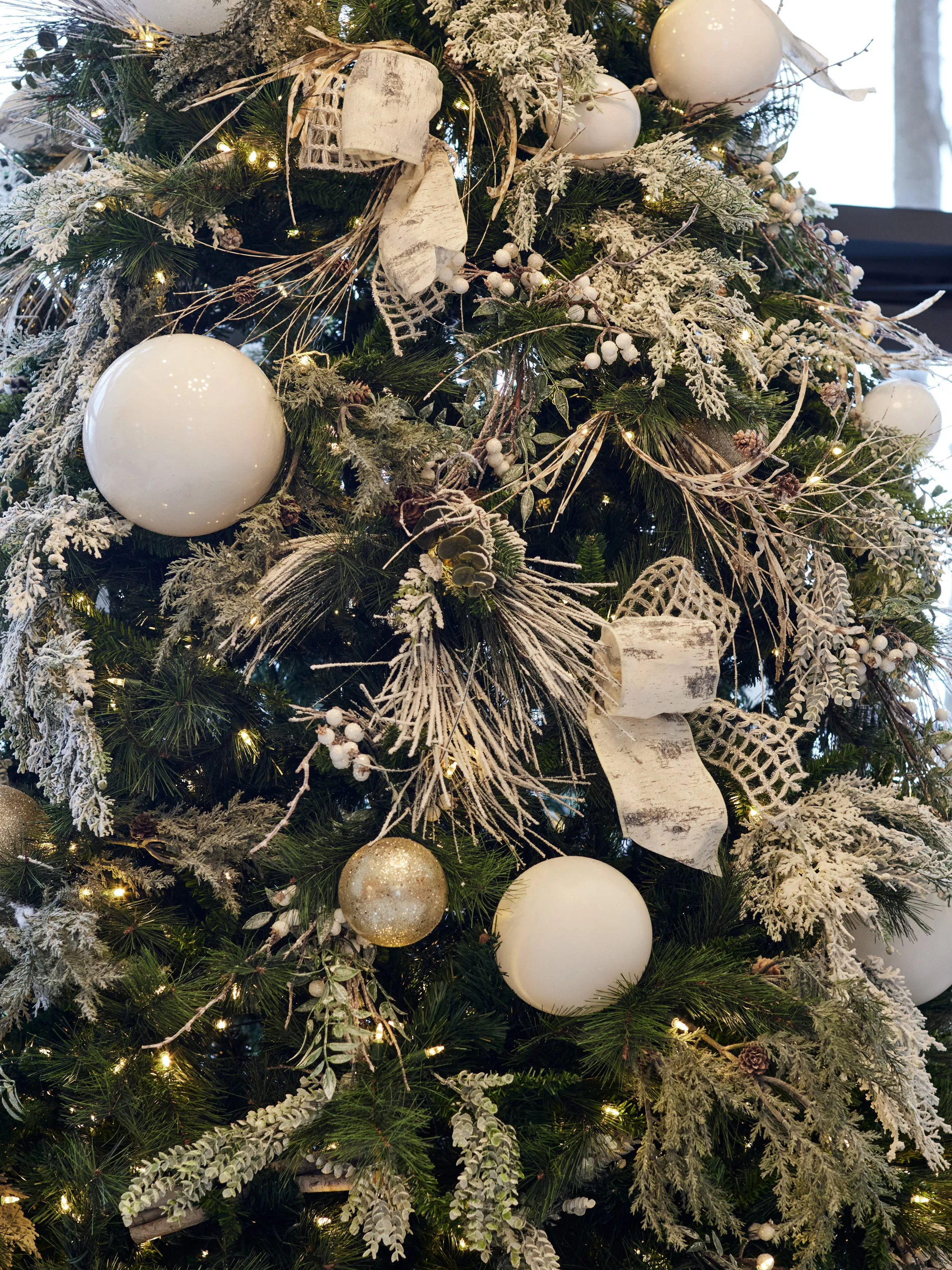 Holiday Decor – Plants by Design